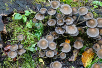 /album/durch-die-aa-schlucht-16-september-2025/aa-schlucht-16-09-2025-6-jpg/